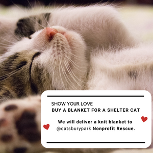 Buy a blanket for a shelter cat!